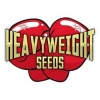 Heavy Weight Seeds