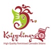 Dr. Krippling