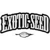 Exotic Seeds