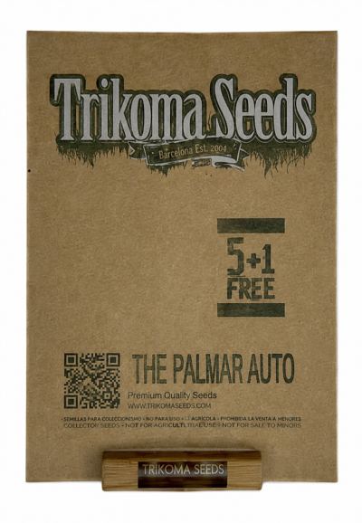 картинка The Palmar Auto от магазина Semki