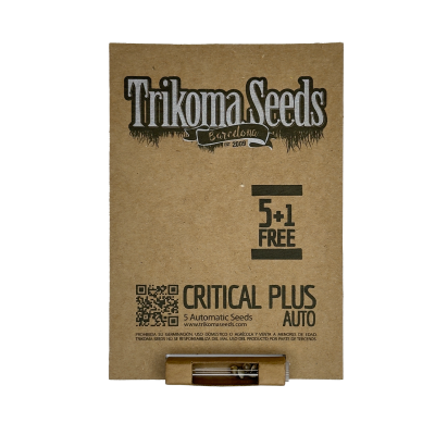 картинка Critical Plus Auto от магазина Semki