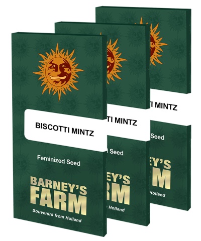 картинка Biscotti Mintz от магазина Semki