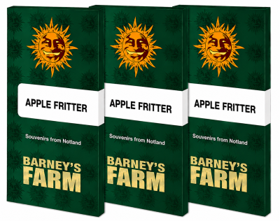 картинка Apple Fritter от магазина Semki