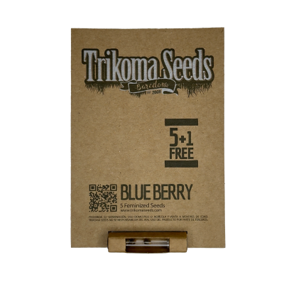 картинка Blueberry от магазина Semki