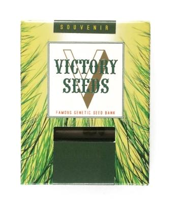 картинка Auto Green Wild Shark  от магазина Semki