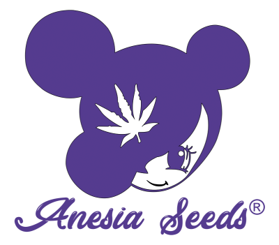 картинка Auto Imperium X от магазина Semki