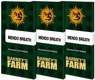 картинка Mendo Breath от магазина Semki