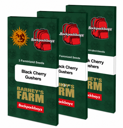 картинка Black Cherry Gushers от магазина Semki