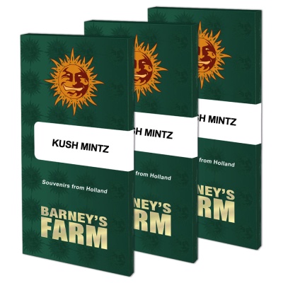 картинка Kush Mintz от магазина Semki