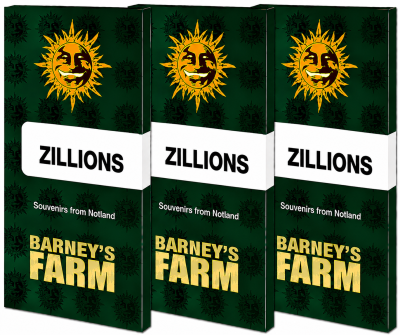картинка Zillions от магазина Semki