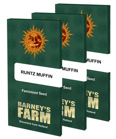 картинка Runtz Muffin от магазина Semki