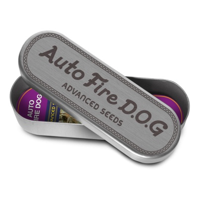 картинка Auto Fire DOG от магазина Semki