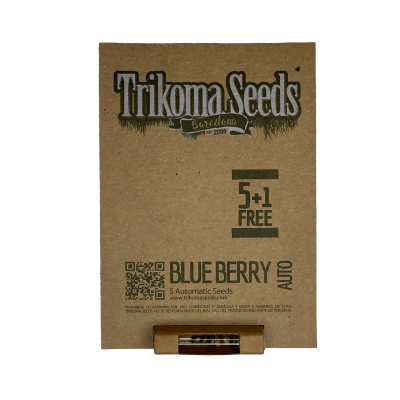 картинка Blueberry Auto от магазина Semki