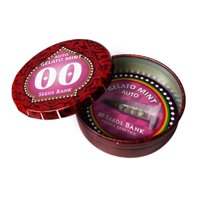 картинка Auto Gelato Mint от магазина Semki