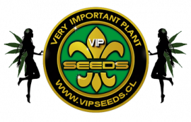 Vip Seeds