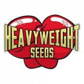 Heavy Weight Seeds