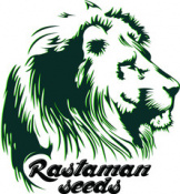 Rastaman Seeds