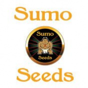 Sumo Seeds