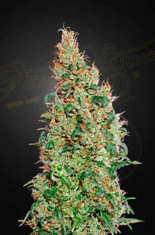 картинка Green-O-Matic от магазина Semki