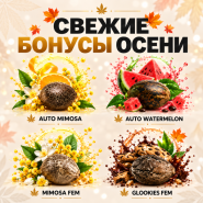 ПОДАРКИ В КАЖДОМ ЗАКАЗЕ! от магазина Semki