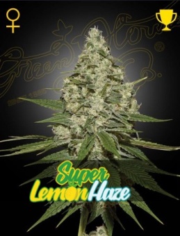 картинка Super Lemon Haze от магазина Semki
