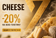 −20% НА ВСЕ СОРТА С ГЕНЕТИКОЙ CHEESE!, Новая −20% НА ВСЕ СОРТА С ГЕНЕТИКОЙ CHEESE!, прочитать −20% НА ВСЕ СОРТА С ГЕНЕТИКОЙ CHEESE!, −20% НА ВСЕ СОРТА С ГЕНЕТИКОЙ CHEESE! от магазина Semki −20% НА ВСЕ СОРТА С ГЕНЕТИКОЙ CHEESE! от магазина Semki