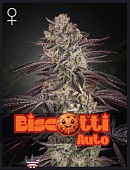 картинка Biscotti Auto от магазина Semki