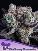 картинка Blackberry Moonrocks от магазина Semki