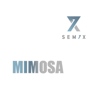 картинка Mimosa от магазина Semki