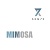 картинка Mimosa от магазина Semki