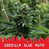 картинка Godzilla Glue Auto от магазина Semki