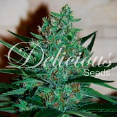 картинка Fruity Chronic Juice от магазина Semki