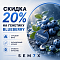 –20% НА ВСЮ ПОДБОРКУ BLUEBERRY!