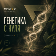 ГЕНЕТИКА С НУЛЯ. ВЫПУСК №1 от магазина Semki