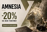 −20% НА ВСЕ СОРТА С ГЕНЕТИКОЙ AMNESIA!, Новая −20% НА ВСЕ СОРТА С ГЕНЕТИКОЙ AMNESIA!, прочитать −20% НА ВСЕ СОРТА С ГЕНЕТИКОЙ AMNESIA!, −20% НА ВСЕ СОРТА С ГЕНЕТИКОЙ AMNESIA! от магазина Semki −20% НА ВСЕ СОРТА С ГЕНЕТИКОЙ AMNESIA! от магазина Semki