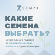 СЕМЕНА ПОД ЛЮБОЙ ЗАПРОС - В ОДНОЙ ПОДБОРКЕ! от магазина Semki