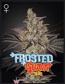 картинка Frosted Guava Auto от магазина Semki