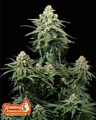картинка Wedding Cheesecake FF от магазина Semki
