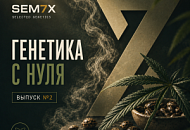 ГЕНЕТИКА С НУЛЯ. ВЫПУСК №2, Новая ГЕНЕТИКА С НУЛЯ. ВЫПУСК №2, прочитать ГЕНЕТИКА С НУЛЯ. ВЫПУСК №2, ГЕНЕТИКА С НУЛЯ. ВЫПУСК №2 от магазина Semki ГЕНЕТИКА С НУЛЯ. ВЫПУСК №2 от магазина Semki