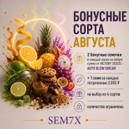БОНУСНЫЕ СЕМЕНА В КАЖДЫЙ ЗАКАЗ! от магазина Semki