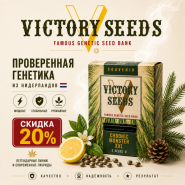 -20% НА ВСЕ СОРТА VICTORY SEEDS! от магазина Semki