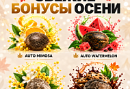 ПОДАРКИ В КАЖДОМ ЗАКАЗЕ!, Новая ПОДАРКИ В КАЖДОМ ЗАКАЗЕ!, прочитать ПОДАРКИ В КАЖДОМ ЗАКАЗЕ!, ПОДАРКИ В КАЖДОМ ЗАКАЗЕ! от магазина Semki ПОДАРКИ В КАЖДОМ ЗАКАЗЕ! от магазина Semki