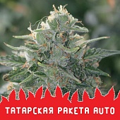 картинка Татарская Ракета Auto от магазина Semki