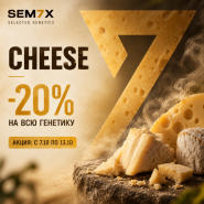 −20% НА ВСЕ СОРТА С ГЕНЕТИКОЙ CHEESE! от магазина Semki