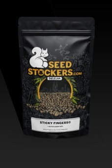 картинка Sticky Fingers Auto от магазина Semki