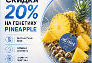 -20% НА PINEAPPLE-СОРТА! от магазина Semki