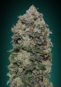 картинка Northern Lights от магазина Semki