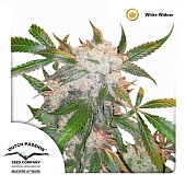 картинка White Widow от магазина Semki